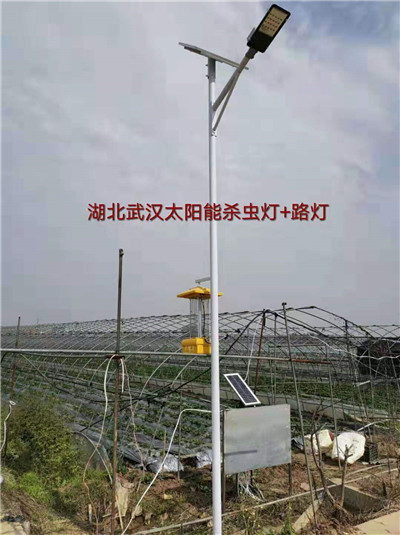 工程案例